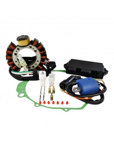 Kit Ignition Stator CDI Stator Cover Gasket Ignition Coil Yamaha 350 Warrior OEM 3HN-85510-10-00 4GB-85510-00-00 3GD-85540-40-00