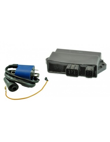 CDI Unit External Ignition Coil HSun 350