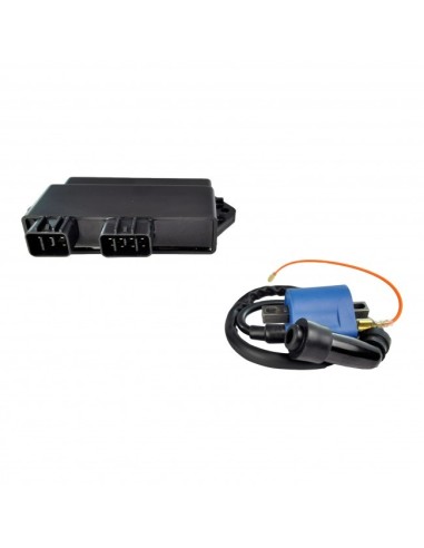 CDI Box Ignition External Coil Yamaha 350 Warrior OEM 3GD-85540-40-00