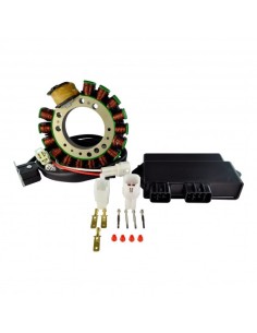 Kit CDI Box Stator Yamaha 350 Warrior OEM 3GD-85540-40-00 3HN-85510-10-00 4GB-85510-00-00