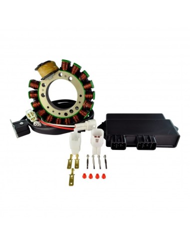 Kit Allumage Boitier CDI Stator Yamaha 350 Warrior OEM 3GD-85540-40-00 3HN-85510-10-00 4GB-85510-00-00
