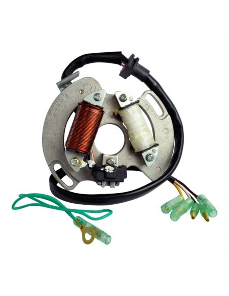 Stator Yamaha 200 Blaster OEM 2XJ-85560-M0-00 3JM-85560-00-00 5VM-85560-00-00 