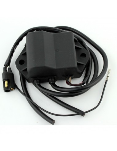 CDI Box Polaris 440 XCR 500 SKS 440 Indy 500 RMK 500 Classic 500 Indy 500 Widetrak OEM 3084288 3083989 3084007 3085053