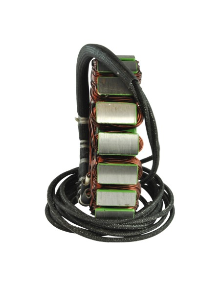 Stator Allumage Yamaha XV1600 XV1700 Road Star Silverado OEM 4WM-81410-00-00 4WM-81410-01-00 5PX-81410-10-00