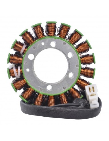 Stator Triumph Speed Triple 1050 OEM T1300610